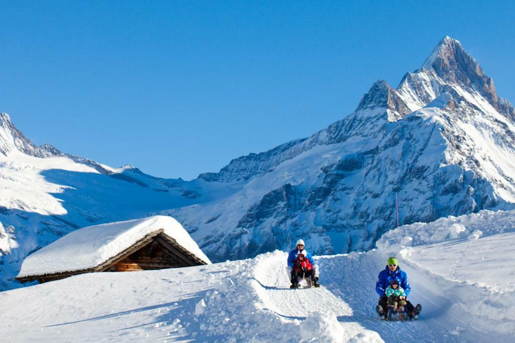 Appartamento Wetterhorn, Eiger, Jungfrau, Amazing! Grindelwald Esterno foto